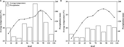 Spraying sorbitol-chelated calcium affected foliar calcium absorption and promoted the yield of peanut (Arachis hypogaea L.)